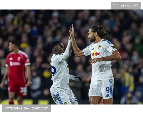 利兹联身价上涨7.8% 升班马英超平台溢价逐步显现